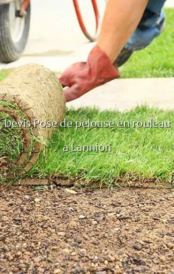 Devis Pose de pelouse en rouleau a Lannion