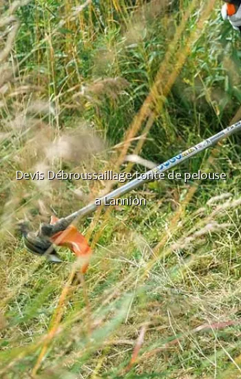 Devis Débroussaillage tonte de pelouse a Lannion